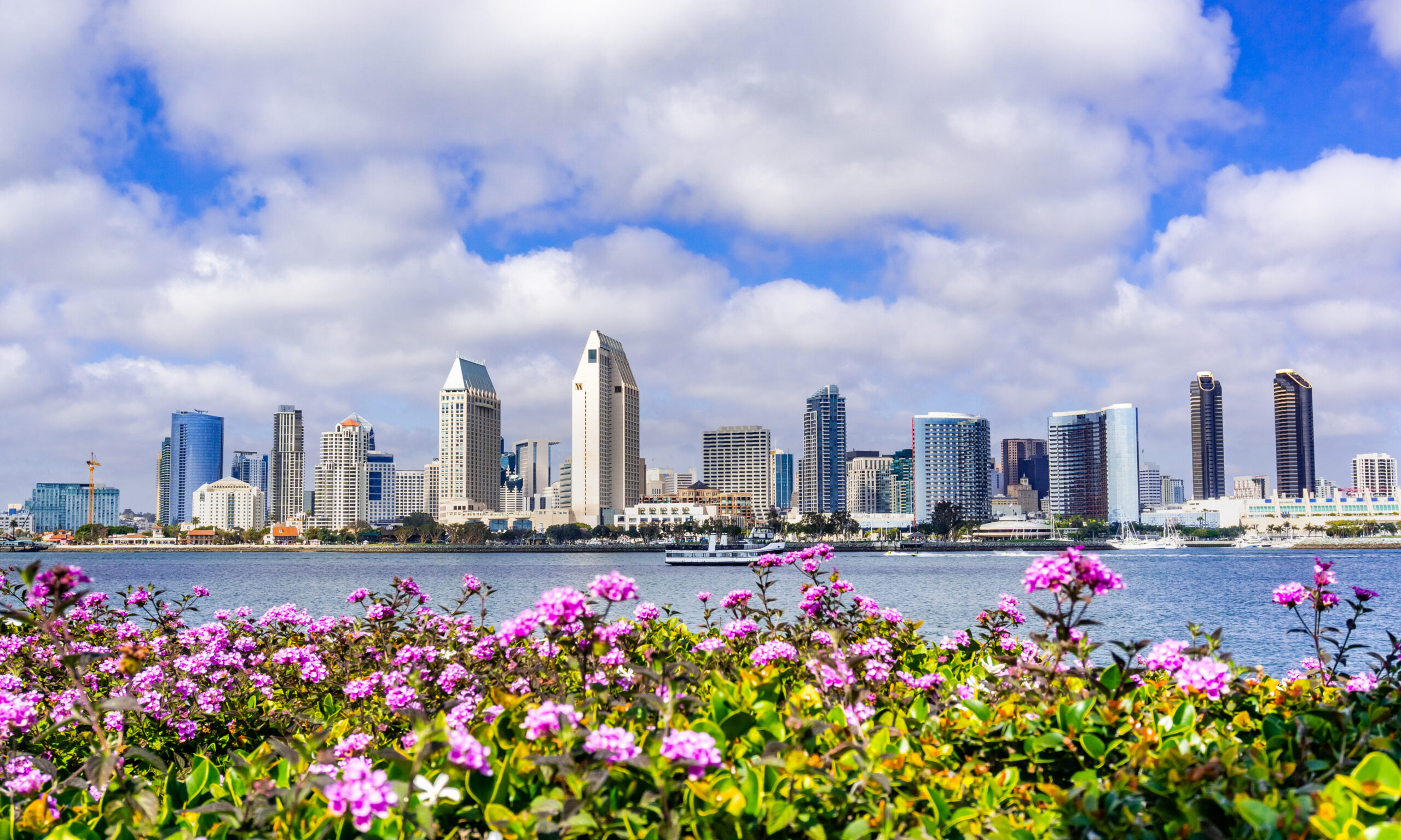 San Diego city skyline