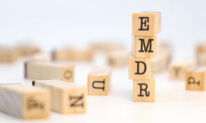 EMDR written out in blocks